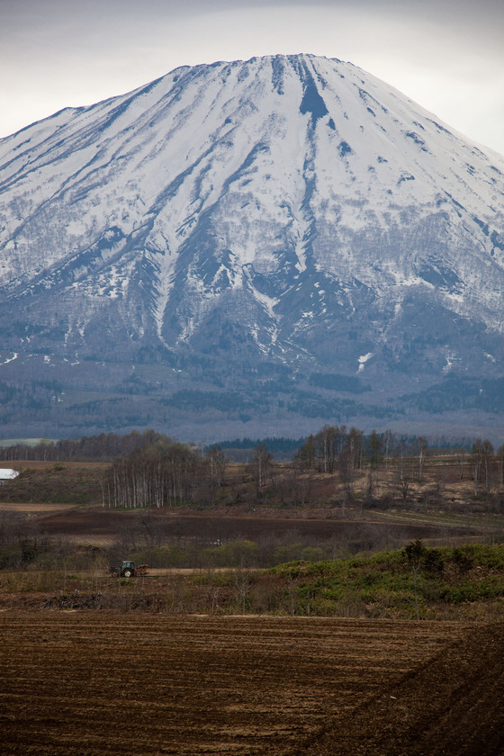 フラワーパーキングから望む羊蹄山