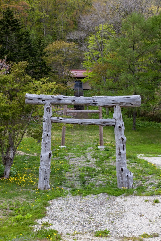 ゴツゴツした鳥居（中里神社）