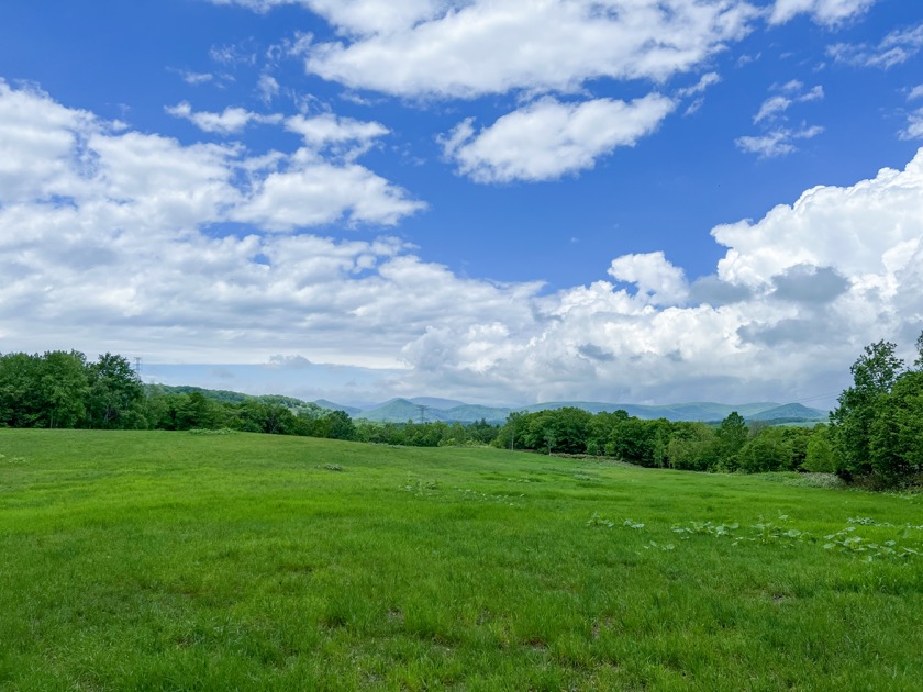 赤井川村の山奥の牧草地