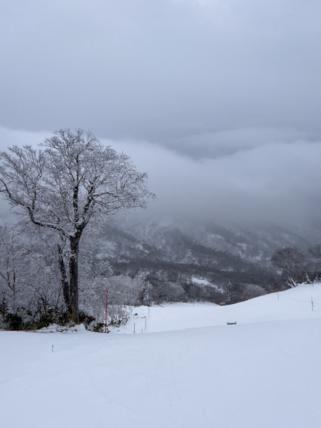 キロロ山頂の雪景色（積雪不足）